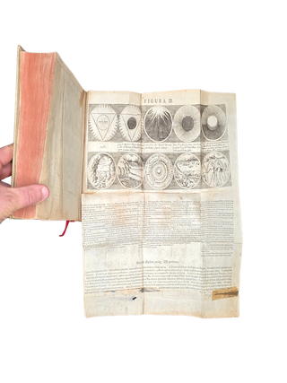 Musaeum Hermeticum Reformatum et Amplificatum Omnes Sopho-Spagyricae Artis Discipulos Fidelissime Erudiens...1749