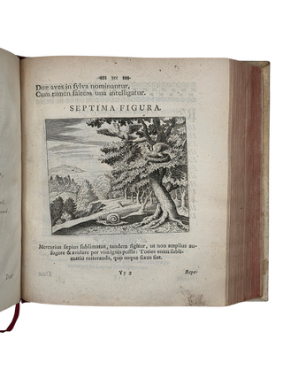 Musaeum Hermeticum Reformatum et Amplificatum Omnes Sopho-Spagyricae Artis Discipulos Fidelissime Erudiens...1749